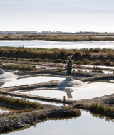 Ein Arbeiter sammelt Salz in den Salinen bei Noirmoutier en l'île, Pays de la Loire, Frankreich.