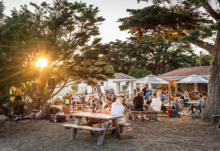 Udendørs middagsscene med familier og venner på picnicborde i Huttopia Ars-en-Ré, Nouvelle-Aquitaine.