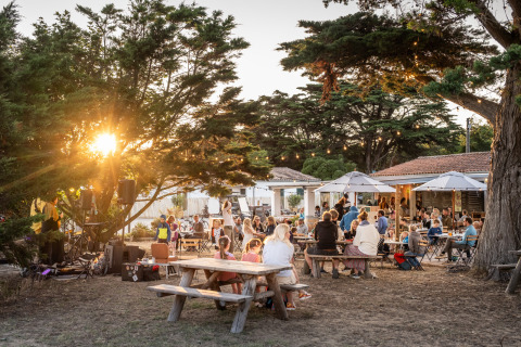 Escena al aire libre con familias cenando al atardecer en Huttopia Ars-en-Ré, Nouvelle-Aquitaine, Francia.