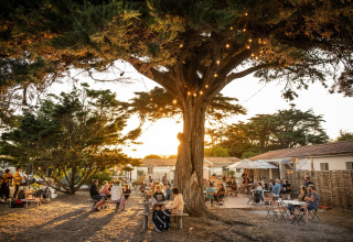 Udendørs spisning under store træer med lyskæder ved solnedgang på Huttopia Ars-en-Ré, Frankrig.