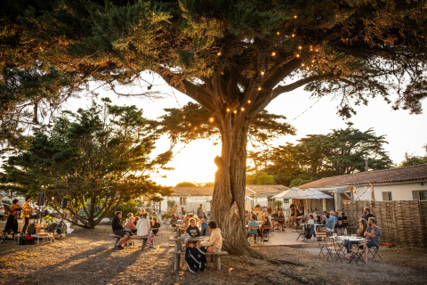 Cena al aire libre bajo grandes árboles y luces al atardecer en Huttopia Ars-en-Ré, Nouvelle-Aquitaine, Francia.