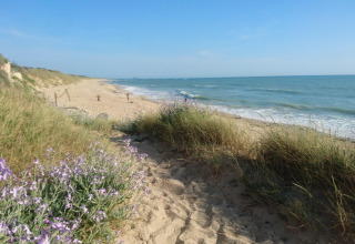 Sandstrand med vilde blomster og siv nær Ars-en-Ré, med rolig havudsigt under en klar himmel.