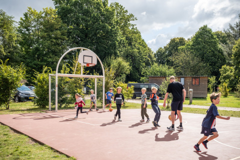 Niños y un adulto juegan al baloncesto en una cancha al aire libre rodeada de naturaleza en Normandía, Francia.