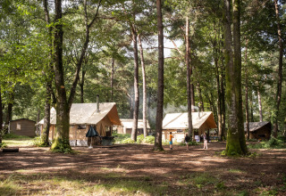Familier nyder camping blandt træerne i telte på Huttopia Lac de Sillé i Pays de la Loire, Frankrig.