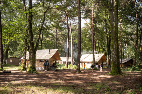 Familias acampando en tiendas entre árboles en Huttopia Lac de Sillé, Pays de la Loire, Francia.