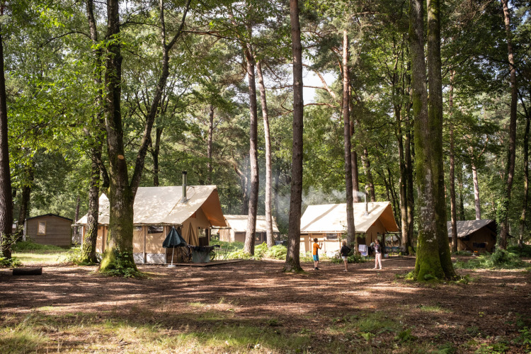 Families camping in canvas tents among tall trees at Huttopia Lac de Sillé in Pays de la Loire, France.