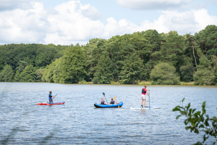 People enjoying kayaking and paddleboarding on a scenic lake near Sillé-le-Guillaume, Pays de la Loire, France.