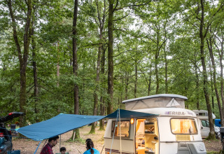 Familie på camping ved Huttopia Lac de Sillé, Pays de la Loire, Frankrig, med campingvogn og telt under træerne.