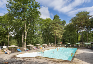 Udendørs swimmingpool omgivet af liggestole og store grønne træer i Huttopia Lac de Sillé, Pays de la Loire.