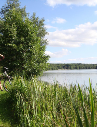 Persona con bicicleta mira un lago rodeado de vegetación cerca de Sillé-le-Guillaume, Pays de la Loire, Francia.