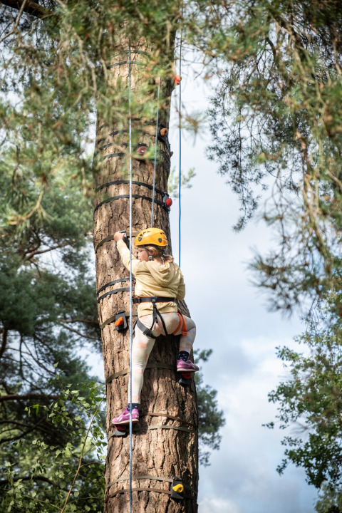 Bambino che scala un albero con imbragatura vicino a SILLE LE GUILLAUME, Pays de la Loire, Francia.