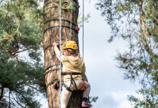 Kind klettert mit Helm und Gurt an einem Baum in der Nähe von SILLE LE GUILLAUME, Pays de la Loire.