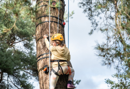 Niño trepando un árbol con equipo de seguridad cerca de SILLE LE GUILLAUME, Pays de la Loire, Francia.
