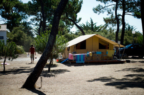 Classic Toile&bois safari tent set up on a sunny campsite with chairs, colorful towels, and nearby trees.