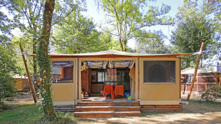 Tienda safari Arizona con porche de madera, rodeada de árboles, ideal para unas vacaciones en la naturaleza.