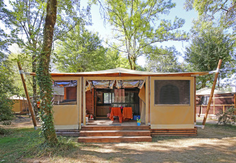 Tienda safari Arizona con porche de madera, rodeada de árboles, ideal para unas vacaciones en la naturaleza.