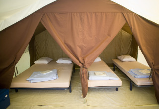 Vue intérieure d’une tente safari avec quatre lits simples, draps et oreillers à Huttopia Calvados, France.