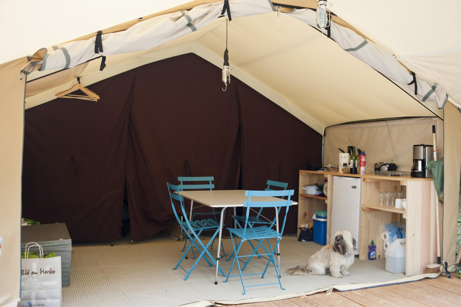Interieur van een safaritent met blauwe stoelen, tafel, kitchenette en hond bij Huttopia Calvados, Normandië.