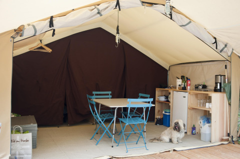 Interno di una tenda safari con sedie blu, tavolo, angolo cottura e cane a Huttopia Calvados in Normandia.