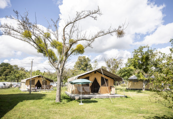 Safari-telte på en grøn campingplads med træer, blå himmel og skyer, set ved Tent Sweet i dagslys.