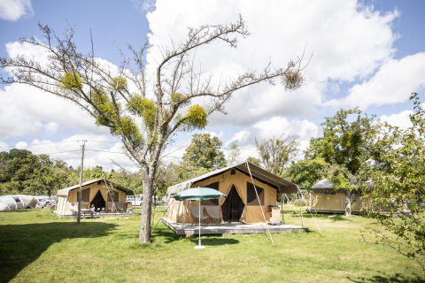 Tiendas safari en un camping verde con árboles y cielo azul nublado, vistas en Tent Sweet durante el día.