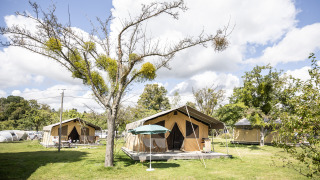 Safari-telte på en grøn campingplads med træer, blå himmel og skyer, set ved Tent Sweet i dagslys.
