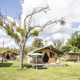 Safari-telte på en grøn campingplads med træer, blå himmel og skyer, set ved Tent Sweet i dagslys.