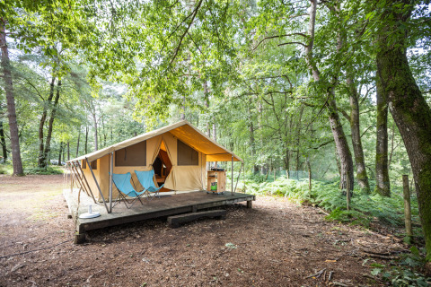 Tente safari Toile & Bois Classic avec terrasse et chaises, entourée de forêt verdoyante pour glamping.