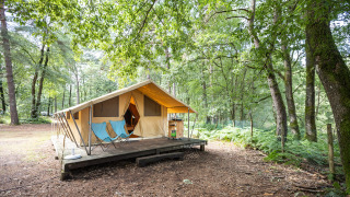 Safari telt Toile & Bois Classic med veranda og stole i en frodig skov, perfekt til glamping på campingtur.