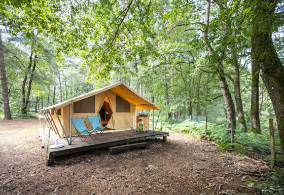 Safari telt Toile & Bois Classic med veranda og stole i en frodig skov, perfekt til glamping på campingtur.