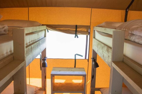 Interior view of Safari tent at Campo dei Fiori, four single beds with rustic wooden frame and warm lighting.
