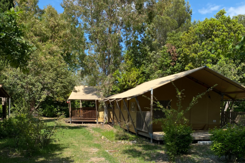 Safari tent at Campo dei Fiori (Glamping4all) in Italy, surrounded by trees and lush greenery on a sunny day.