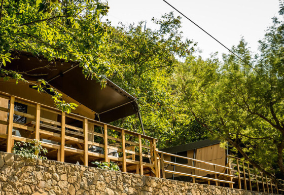 Tienda safari Base Lodge sobre muro de piedra, rodeada de vegetación y árboles bajo la luz del sol.
