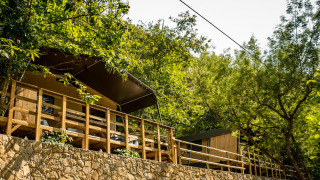 Safari tent called Base Lodge built on a stone wall, surrounded by lush greenery and trees in sunlight.