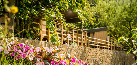 Blumenbeet vor dem Safari-Zelt Base Lodge im Camping Delle Rose, Italien, umgeben von Bäumen und Natur.