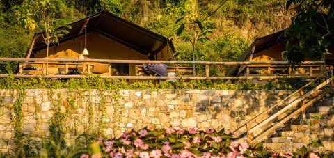 Safari tents at Desert Lodge, Camping Delle Rose in Italy, surrounded by greenery, stone wall, and flowers.