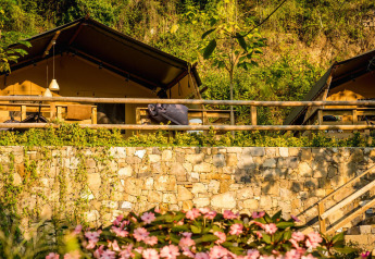 Safari tents at Desert Lodge, Camping Delle Rose in Italy, surrounded by greenery, stone wall, and flowers.