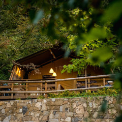 A cozy glamping tent at Camping Delle Rose in Liguria, Italy, surrounded by lush forest and greenery.
