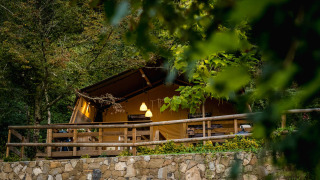 A cozy glamping tent at Camping Delle Rose in Liguria, Italy, surrounded by lush forest and greenery.
