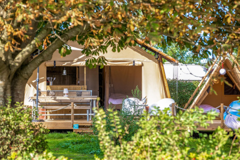 Safaritent Cozy Lodge + sanitair, omringd door groen en bomen, in een zonnige, rustige buitenomgeving.