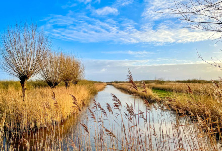 Vista de un canal pintoresco con sauces y juncos bajo un cielo azul en un parque de glamping vacacional.