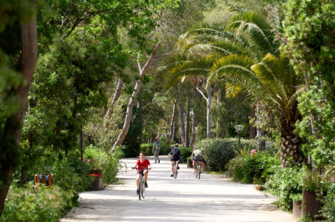 Radfahrer auf einem von Bäumen gesäumten Weg im Ferienpark Campo dei Fiori in der Toskana, Italien.