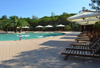 Poolside lounge chairs and umbrellas at Campo dei Fiori Glamping4all holiday park in Tuscany, Italy.