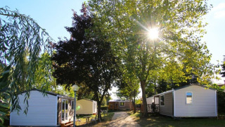 Sunlight shines through tall trees over modern glamping cabins and pathways in a peaceful camping setting.