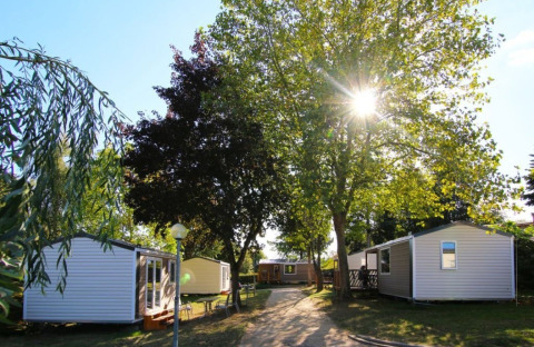 Sunlight shines through tall trees over modern glamping cabins and pathways in a peaceful camping setting.