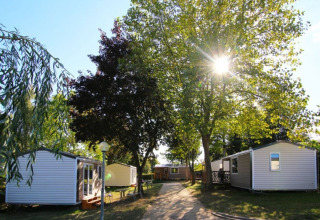 Sunlight shines through tall trees over modern glamping cabins and pathways in a peaceful camping setting.