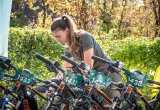 Woman in green shirt checking numbered bicycles at a sunny holiday park with greenery behind her.