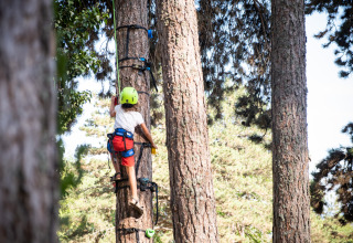 Kind mit Helm und Klettergurt steigt einen Baum im Ferienpark in Auvergne-Rhône-Alpes, Frankreich hinauf.