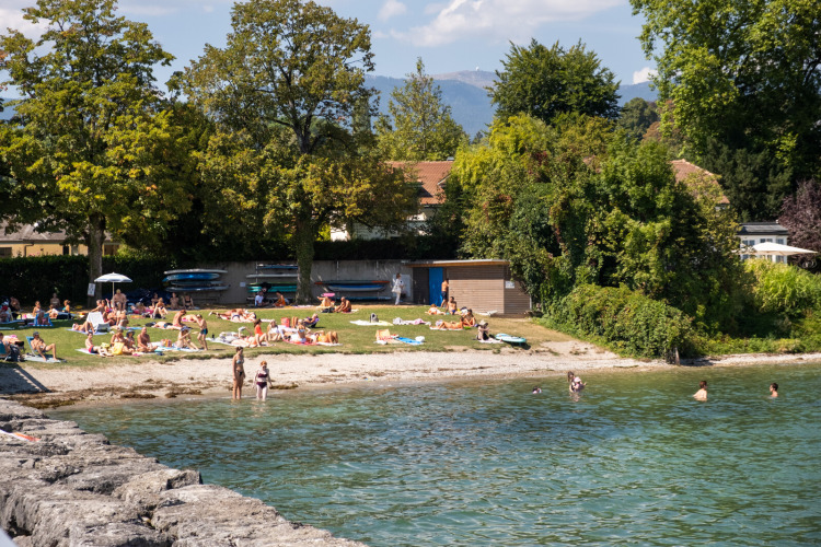 Mensen zonnen en zwemmen bij een grasachtig meerstrand nabij Divonne Les Bains, omgeven door groen.