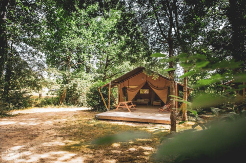 Tente safari Tent Saadani installée en clairière forestière, terrasse en bois et bancs, entourée d’arbres verts.